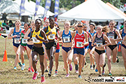 NACAC Cross Country Champs POS February 2019